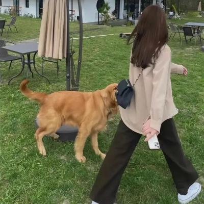 奇妙博物馆